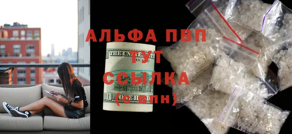 сатива Белокуриха