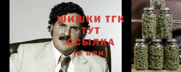 сатива Белокуриха