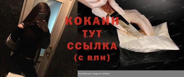 сатива Белокуриха