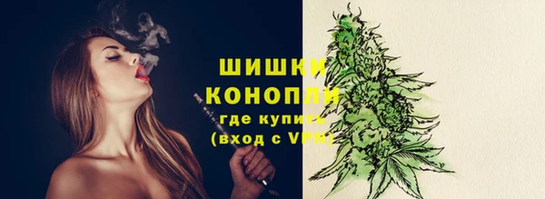 сатива Белокуриха