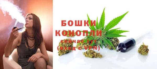 сатива Белокуриха